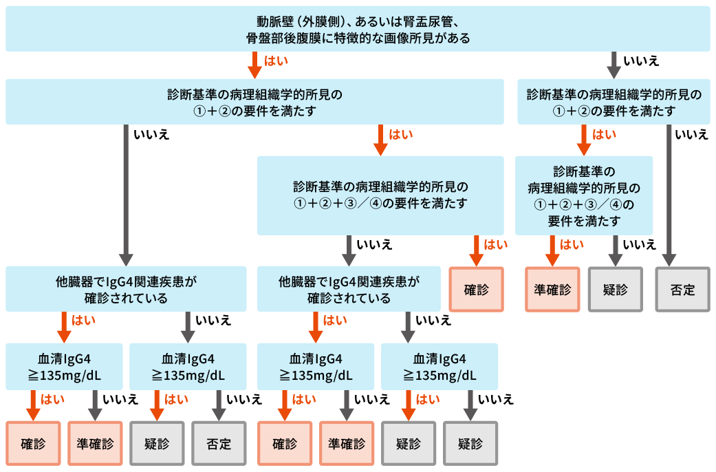 IgG4関連大動脈周囲炎/動脈周囲炎、後腹膜線維症の診断のためのフローチャート