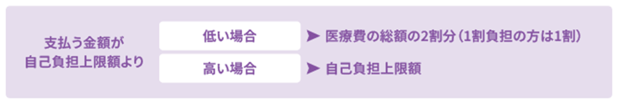 難病医療費助成制度の助成対象の方が支払う医療費の図