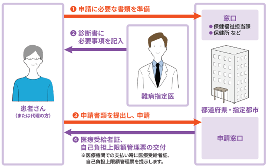 医療受給者証の交付申請から交付までの図